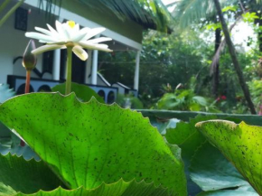 SMW Lodge Sigiriya
